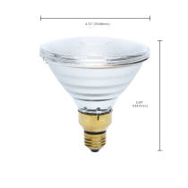125PAR38/HEAT/CL/120V - S4798