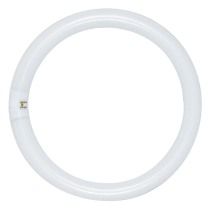FC12T9/CW 32 WATT COOL WHITE - S6503