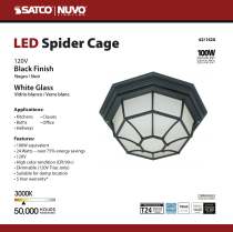 LED SPIDER CAGE - 62-1420