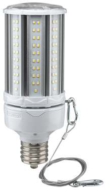 54W/LED/HID/5K/100-277V/EX39 - S39394