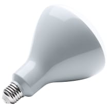 11.5BR40/LED/2700K/940L/120V - S9634
