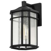 RAIDEN 1LT OUTDOOR SM WALL - 60-5760
