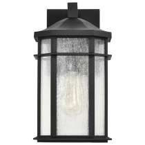 RAIDEN 1LT OUTDOOR SM WALL - 60-5760