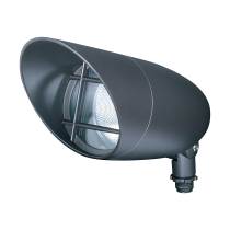 1 LIGHT PAR30 LANDSCAPE FLOOD - SF76-647