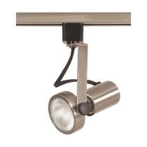 RSHD NICKEL PAR20 GIMBAL RING - TH300
