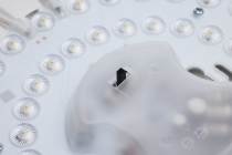 15" SURFACE MOUNT W/NIGHTLIGHT - 62-1693
