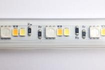 TAPE/RGBTW-HO/IP65/JBOX/SF/64' - 64-145