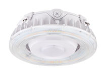 25W LED CANOPY LIGHT - 65-623