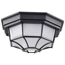 LED SPIDER CAGE - 62-1400