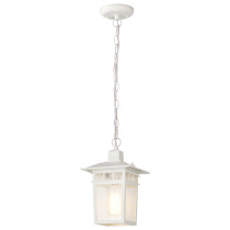 COVE NECK 1 LGT OUTDOOR HANG - 60-4954