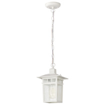 COVE NECK 1 LGT OUTDOOR HANG - 60-4954