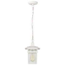 COVE NECK 1 LGT OUTDOOR HANG - 60-4954