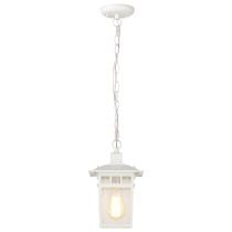 COVE NECK 1 LGT OUTDOOR HANG - 60-4954
