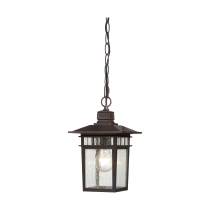COVE NECK 1 LGT OUTDOOR HANG - 60-4955