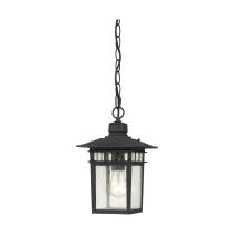 COVE NECK 1 LGT OUTDOOR HANG - 60-4956