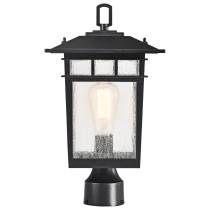 COVE NECK 1LT OUTDOOR LG POST - 60-5953