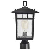 COVE NECK 1LT OUTDOOR LG POST - 60-5953