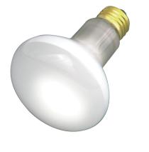 30R20 REFLECTOR 130V - S2810