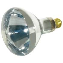 375R40/1 120V CLEAR HEAT LAMP - S4366