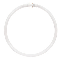 FC55T5/HO/841 - S8163