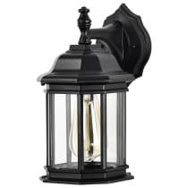 HOPKINS 1LT OUTDOOR SM WALL - 60-6119