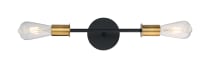 RYDER 2 LIGHT VANITY - 60-7342