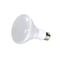 10BR30/LED/2700K/700L/120V/D - S29628