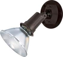 1 LIGHT PAR38 FLOODLIGHT - SF76-521