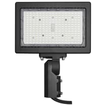 LED FLOOD 150W 4000K DIM - 65-619R1