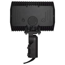 LED FLOOD 150W 4000K DIM - 65-619R1