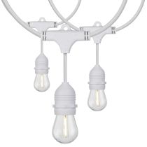 24FT/LED/SL/S14/822K/WH/120V - S8038
