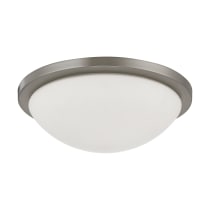 BUTTON ES 2 LT 13" FLUSH - 60-2944