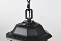 HOPKINS 1LT OUTDOOR HANGING - 60-6117