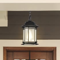 HOPKINS 1LT OUTDOOR HANGING - 60-6117