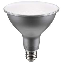 S11587 11PAR30LN/LED/5CCT/WFL/120V