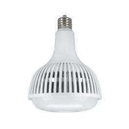 S13113 80W/LED/HID-HB/5K/120-277V